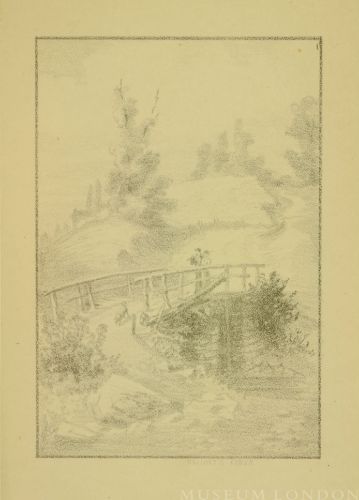 Elliot's Creek