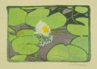 THE LILY