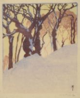 SNOW BANK