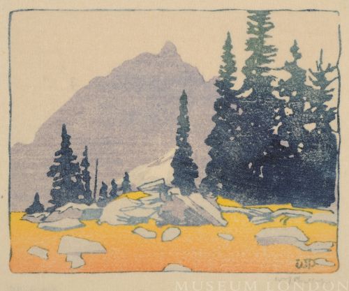 ALPINE MEADOW