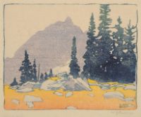 ALPINE MEADOW