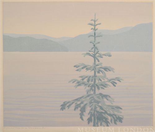 SPRUCE TREE ON A GREY DAY