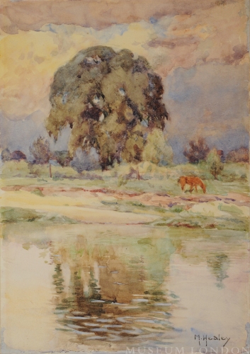 THE ELM