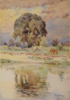 THE ELM