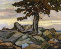 PINE TREE AND ROCKS