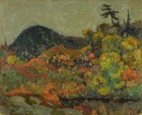 RAINY WEATHER, ALGOMA