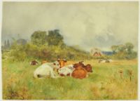 COWS IN PASTURE