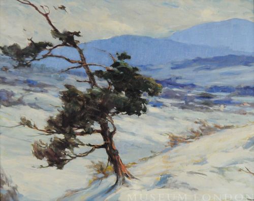 THE FIRST SNOW, NEW HAMPSHIRE
