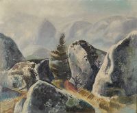 ROCKS AND FOG, NOVA SCOTIA