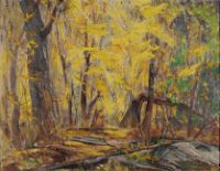 AUTUMN WOODLAND, ALGONQUIN PARK