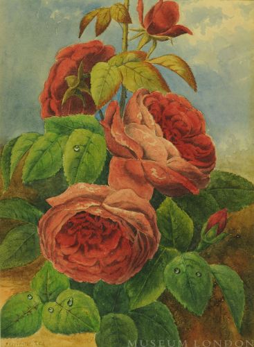 RED ROSES