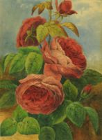RED ROSES