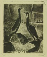 CORMORANTS