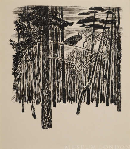 HORNED OWL
