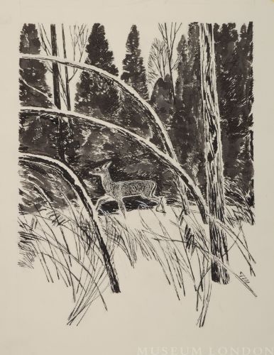 DEER IN SWAMP