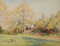 THE BUDDING OAK, SPRINGTIME NEAR LONDON, ONTARIO