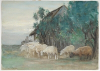 RETURN OF THE SHEEP
