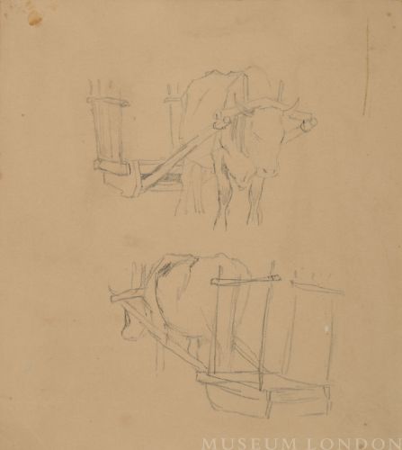 STUDY OF OX AND CART