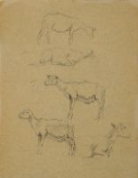 STUDY OF GOATS