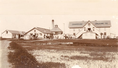 CANADIAN PACKING CO.