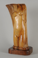 TORSO