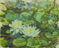 WATER LILIES