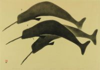 THREE NARWHAL