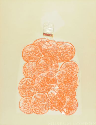 BAGGED DAYGLO ORANGES