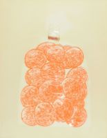 BAGGED DAYGLO ORANGES