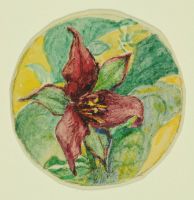 RED TRILLIUM