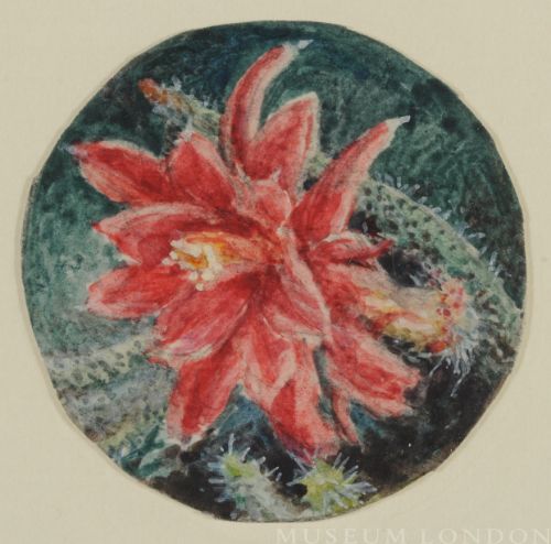 RED CACTUS