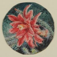 RED CACTUS