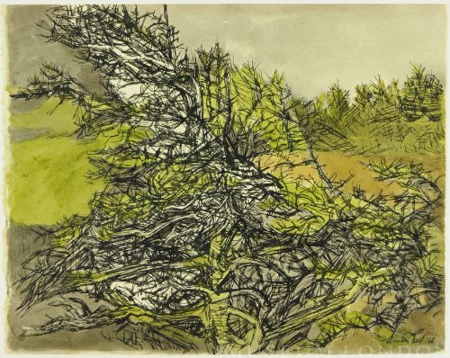 SAND DUNE TREES