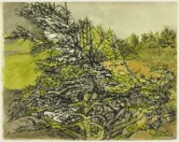 SAND DUNE TREES