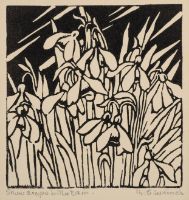 SNOWDROPS IN THE RAIN