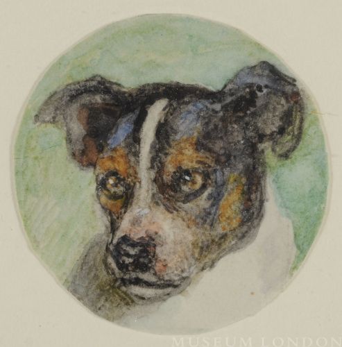 TERRY, THE FOX TERRIER