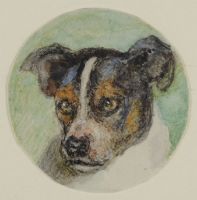 TERRY, THE FOX TERRIER