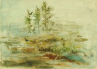 MUSKEG, NORANDA