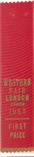 Western Fair, First Prize Ribbon for Rug Hooked, Wool Material