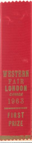 Western Fair, First Prize Ribbon for Specimen, Modern Needlepoint