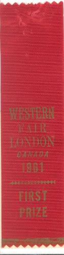 Western Fair, First Prize Ribbon for Child's Dress Smocked