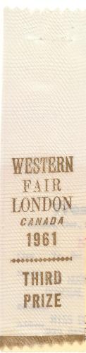 Western Fair, Third Prize Ribbon for Rug Hooked, Yarn Clipped Donegal Canvas