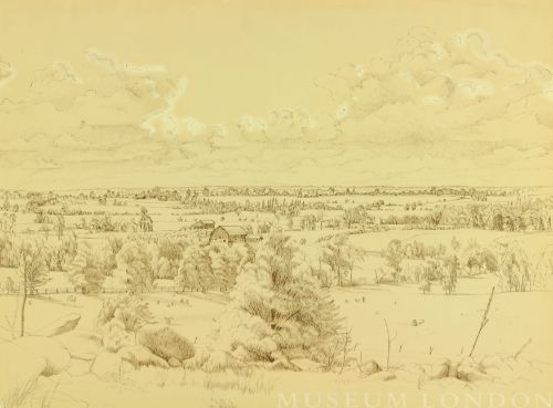 UNTITLED LANDSCAPE