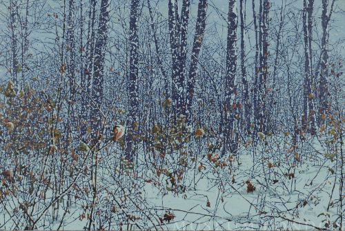 SNOWING