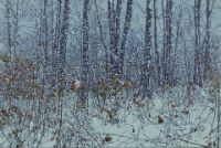 SNOWING