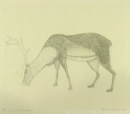 SUMMER CARIBOU