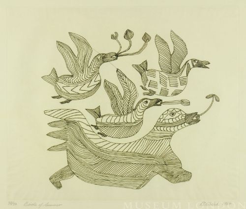 BIRDS OF SUMMER