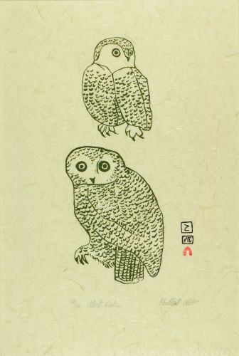 ALERT OWLS