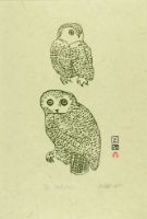 ALERT OWLS