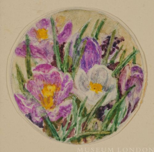 PURPLE AND WHITE CROCUS